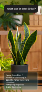 دانلود هوش مصنوعی جدید Axon AI از گوگل پلی